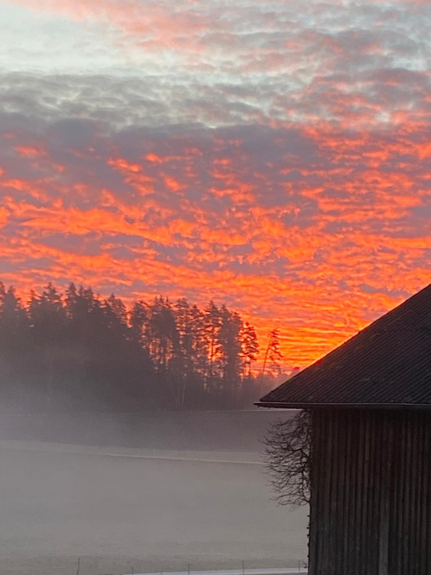 Apartmán Baerenhof Tirschenreuth Exteriér fotografie